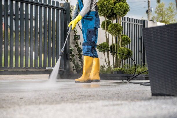 Best Affordable Power Washing  in Holly Springs, MS