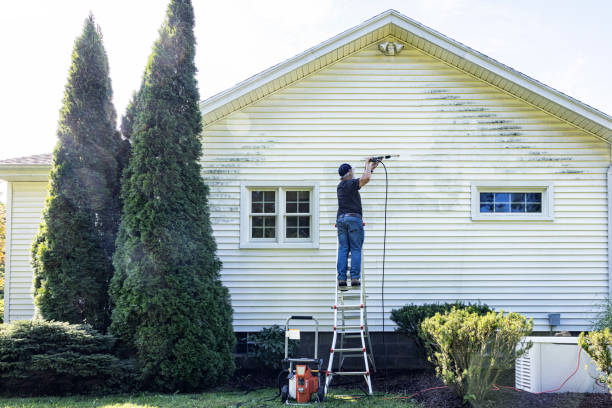 Best Residential Pressure Washing Services  in Holly Springs, MS