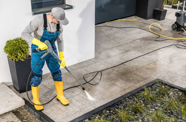 Best Roof Pressure Washing  in Holly Springs, MS